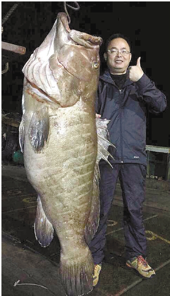 钓鱼达人钓上巨型石斑鱼长170厘米重102斤（图）