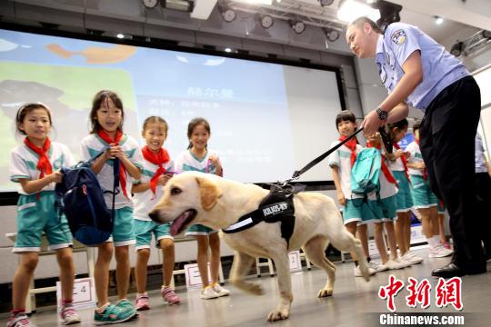 海关禁毒宣传走进广州小学校园 缉毒犬成明星