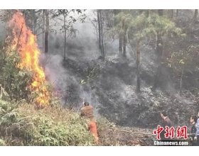 村民烧田埂引发30余小时森林火灾被刑拘