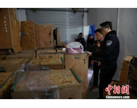 重庆警方打掉20个农村地区赌博团伙