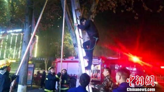 男子爬树被困，消防架梯救人 张岩岩 摄