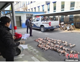 上海警方破获一起非法狩猎野生动物案件