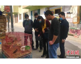 新疆阿克苏查获3起涉嫌违法经营野生动物案