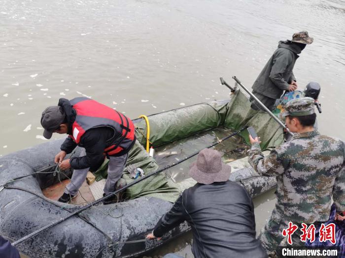图为近日，西藏军区某工化旅协助贡嘎县林业和草原局查获非法捕捞的江鱼数十公斤。贡嘎县林业和草原局 供图