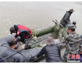 西藏军地查处非法捕鱼 守护辖区水域生态平衡