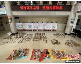 浙江警方破获一起重大非法贩卖野生动物案