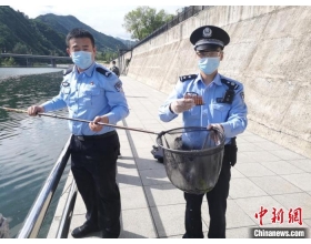 吉林集安：民警在河底打捞出130发步枪子弹