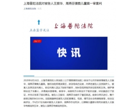 新城控股原董事长王振华猥亵儿童案一审宣判