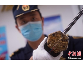 广州海关查获濒危物种蟒蛇皮制成的二胡