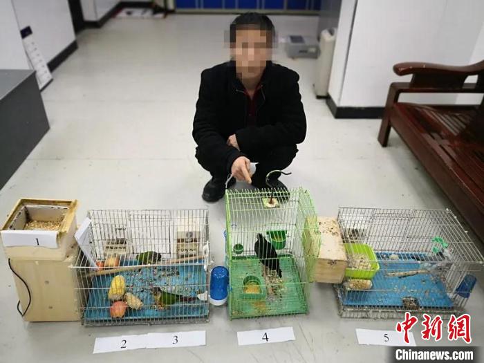 非法交易珍贵濒危野生动物浙江警方抓获8名涉案人员