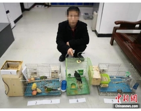 浙江警方抓获8名非法交易濒危野生动物人员