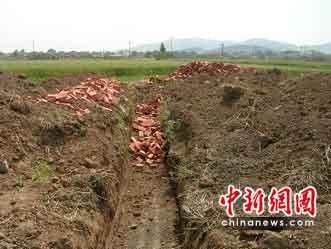 江苏徐州300亩即将收获麦田被铲平建安置房