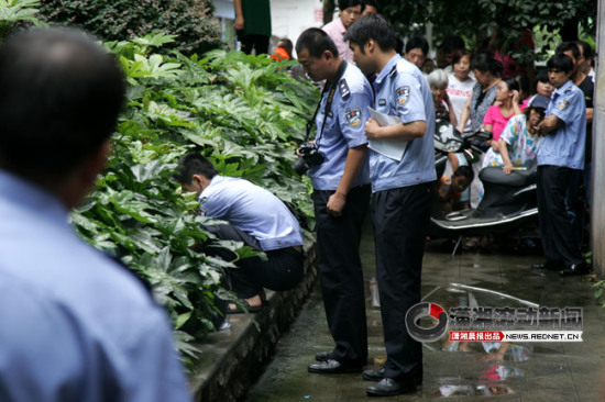 绿化带现未闭眼男童尸体警方排除他杀(图)