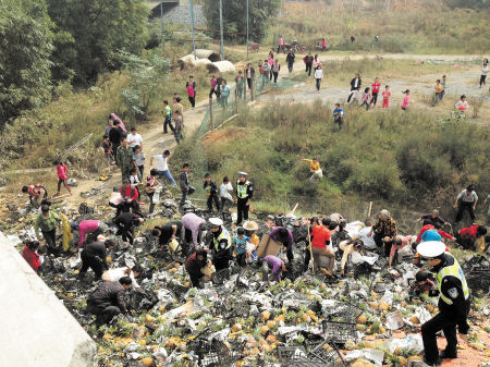 湖南：货车高速路侧翻 20吨菠萝遭村民哄抢一空