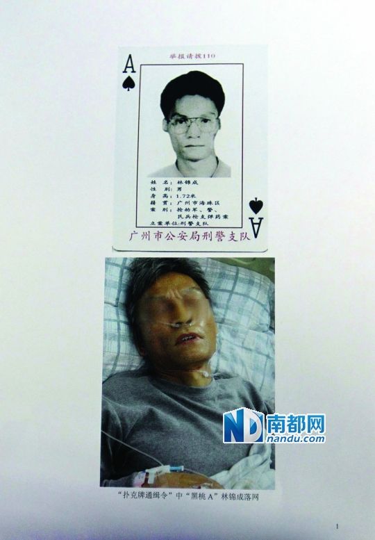 潜逃17年通缉犯走投无路跳楼自杀砸伤路人