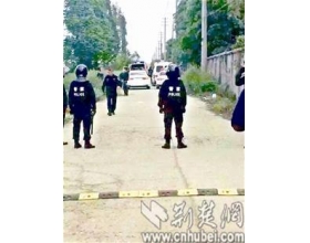 湖北街头两伙人驾车追逐开枪射击 已被控制