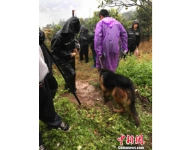 丽水10.31放火案告破 女婿纵火杀岳父全家