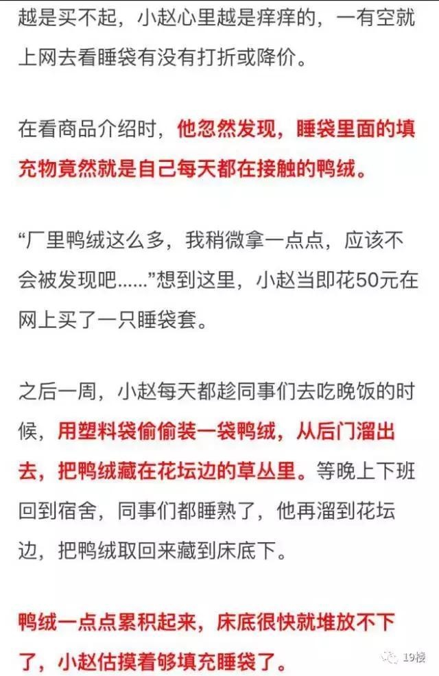 90后小伙花了2个月偷出22斤鸭绒